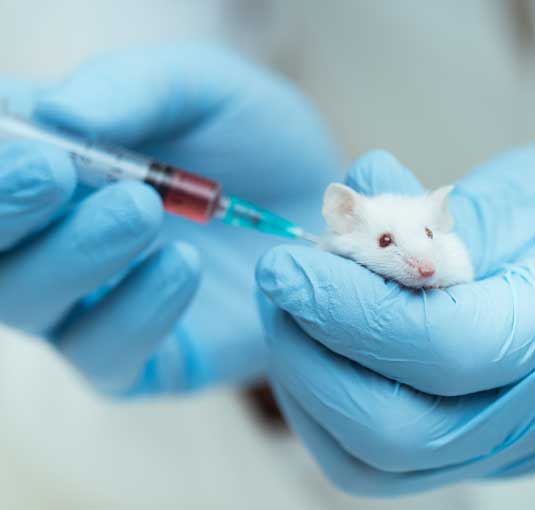 Veterinary Mice Testing